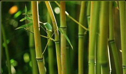 bambusová tkanina